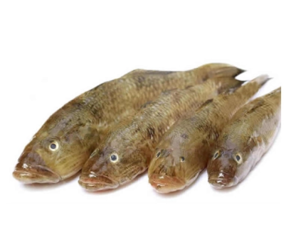Bailla Fish 7-15 Pcs/Kg (বাইল্লা মাছ)