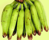 Green Banana (কাঁচা কলা) Per Piece