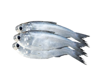 Sea Chapilla Fish (চাপিলা মাছ) 20-30pcs 1 Kg